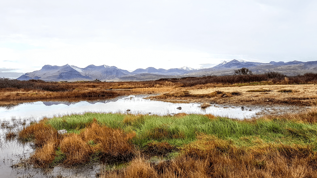 Autumn in Iceland (1)