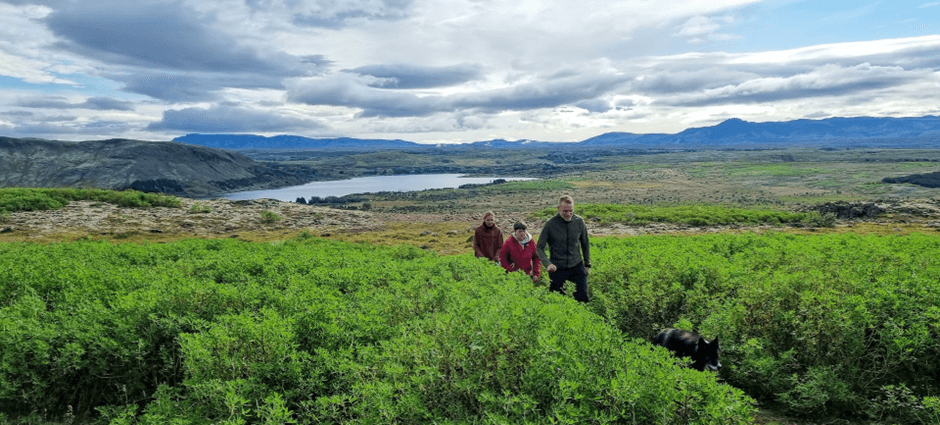 How to Truly Experience Iceland